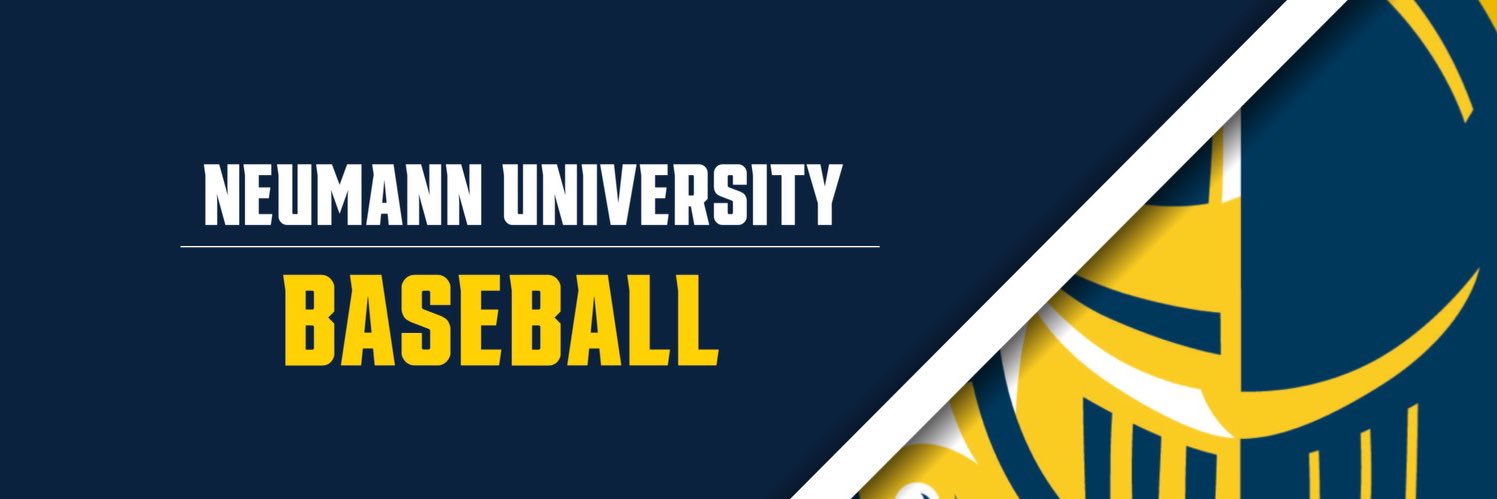 Neumann University Baseball banner