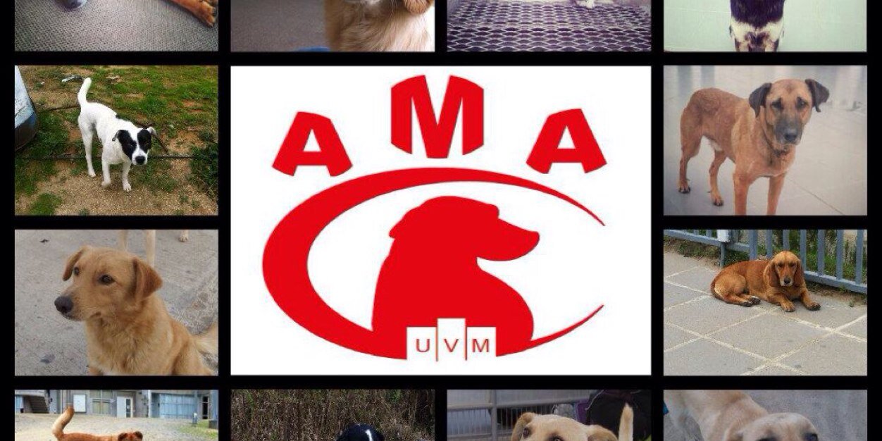 AMA UVM banner