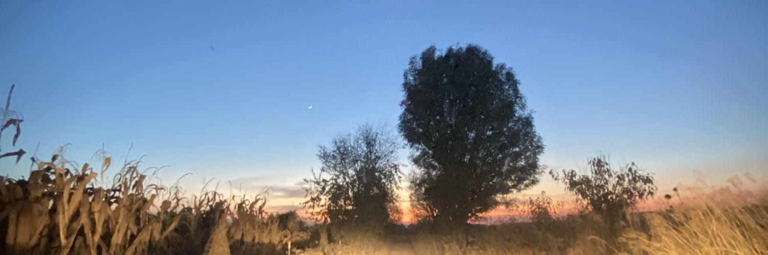 Edgarbass31's profile banner image