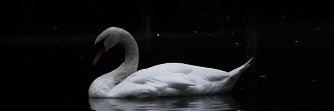 meryem banner