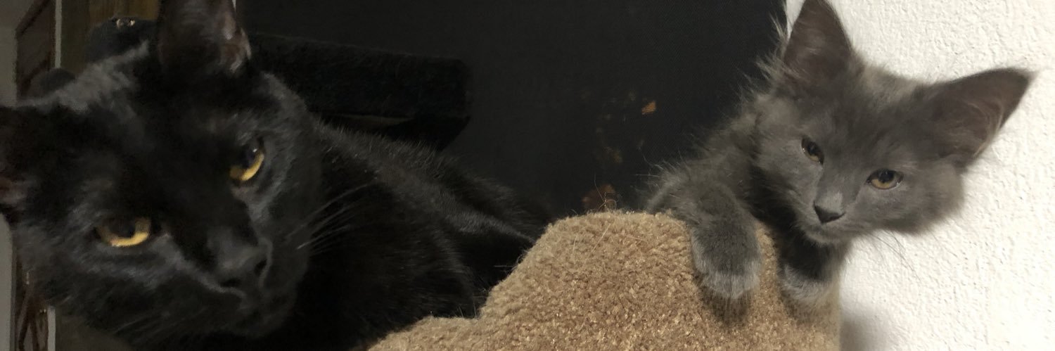 paoLeg0's profile banner image