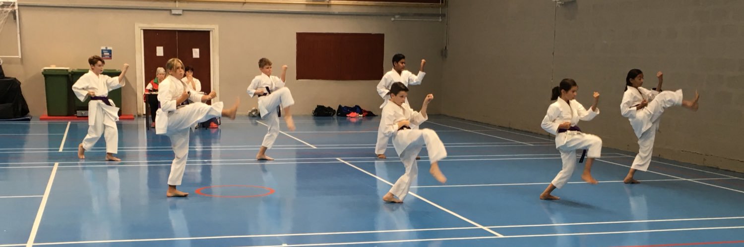 St.Clears Karate banner