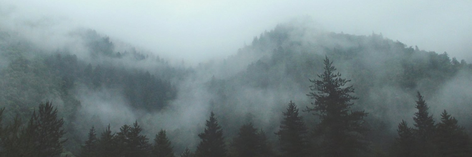 KataevaYulia's profile banner image