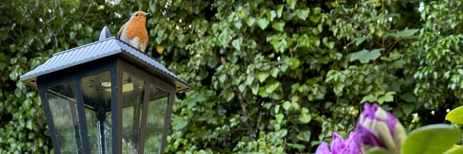 Jillymcjilljill banner