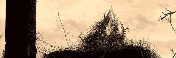 PluralMonolith Profile Banner