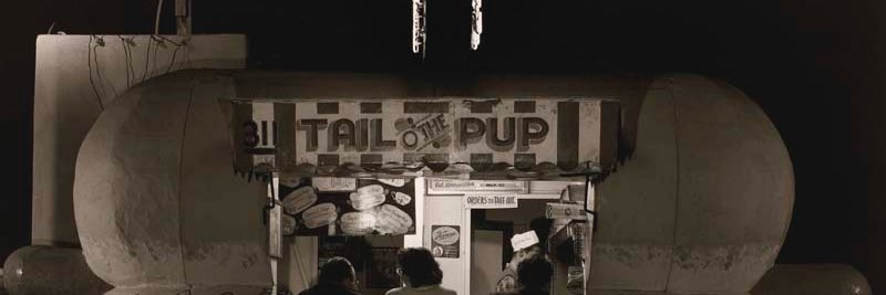 tailothepupLA's profile banner image