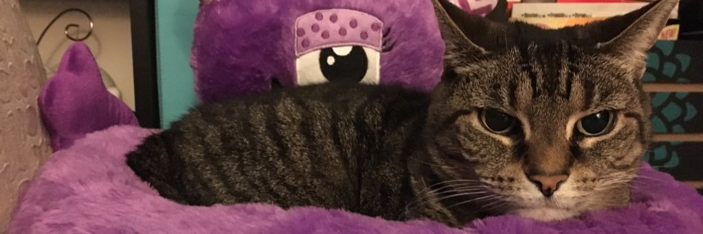 SharonAnne71's profile banner image