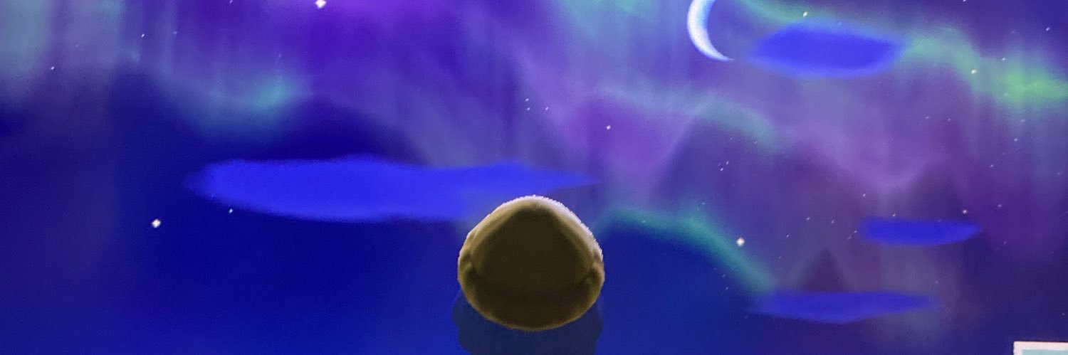 Ms_Sasha915's profile banner image