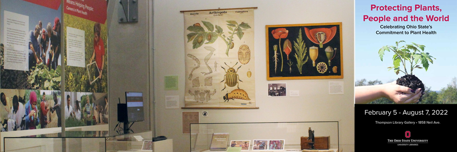 Monica Lewandowski banner