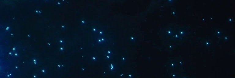ryanlpattonn's profile banner image