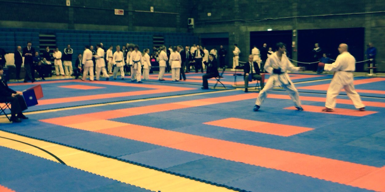 Cefneithin Karate banner