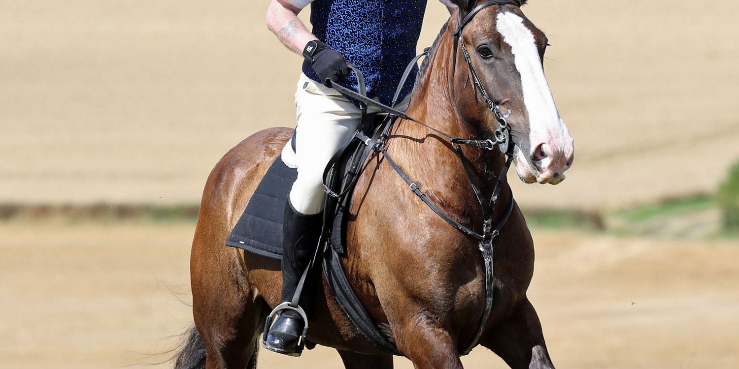 andrew forrest banner