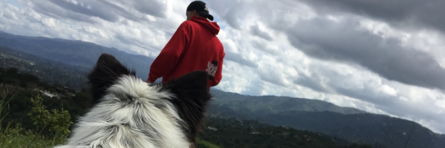 ohseedeese's profile banner image