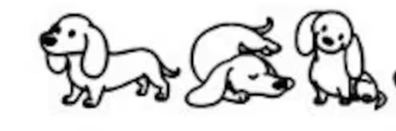 dttuccine's profile banner image