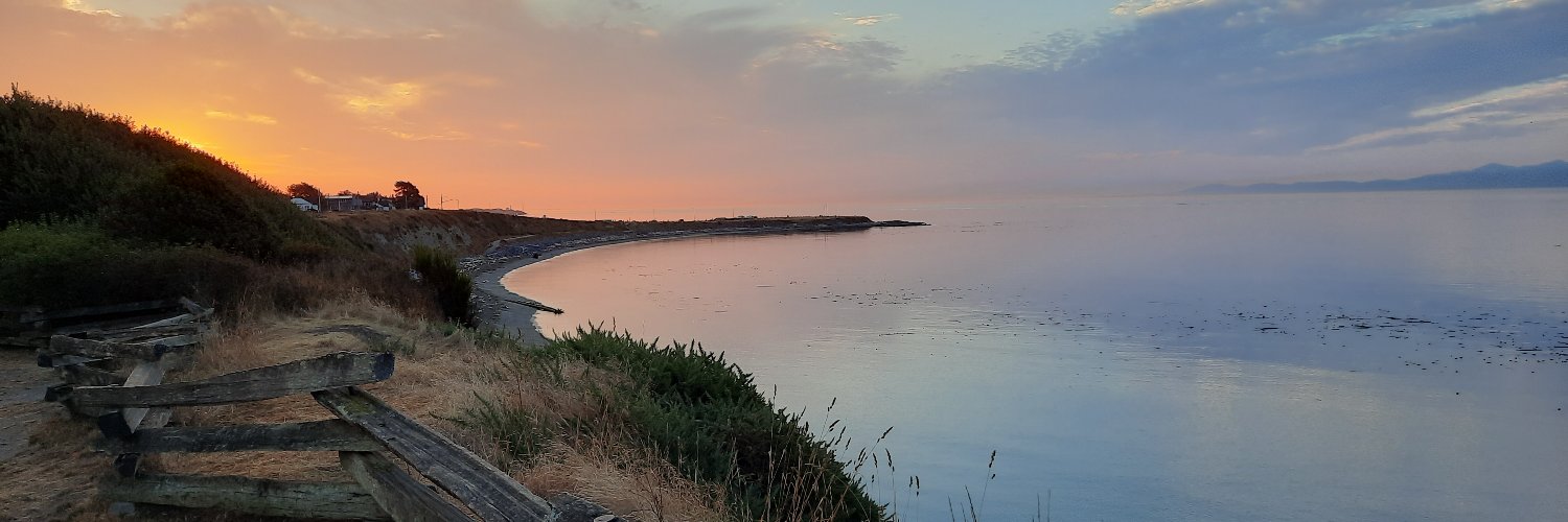 sharonmccart's profile banner image