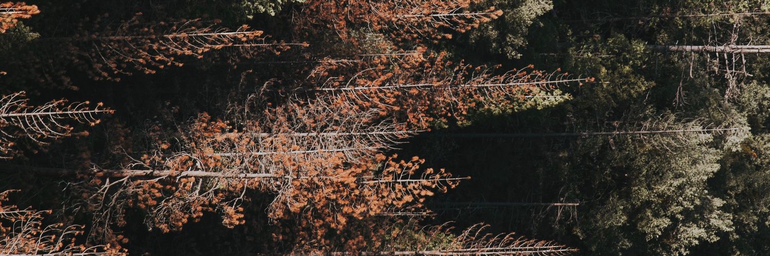 JDR94's profile banner image
