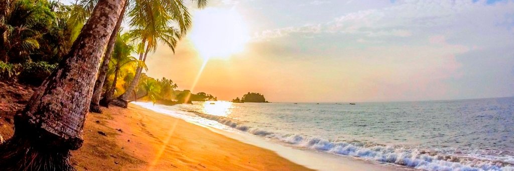 MagicalColombia's profile banner image