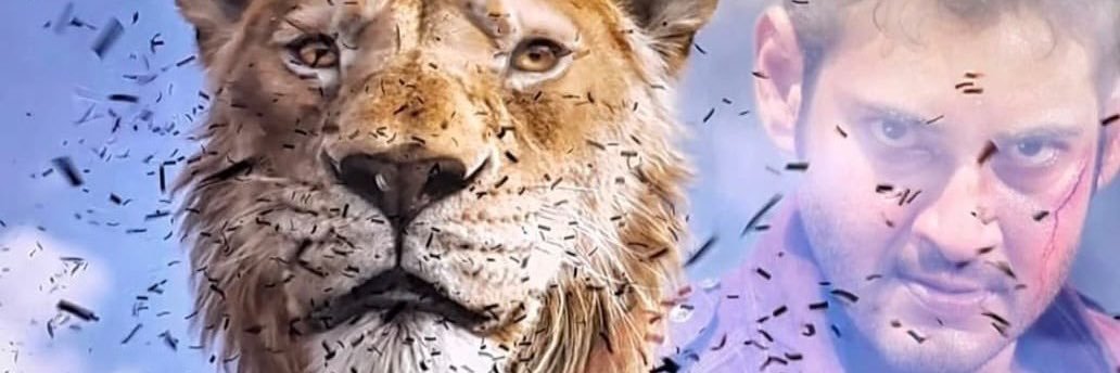 singaraju9's profile banner image