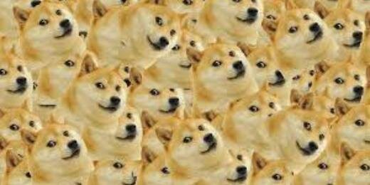 DogeBrasil's profile banner image
