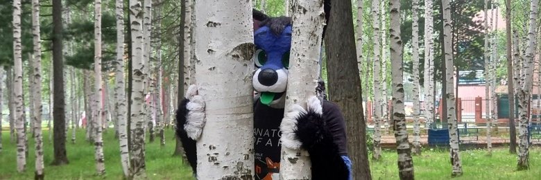 Marvin Fox (マービン狐) banner