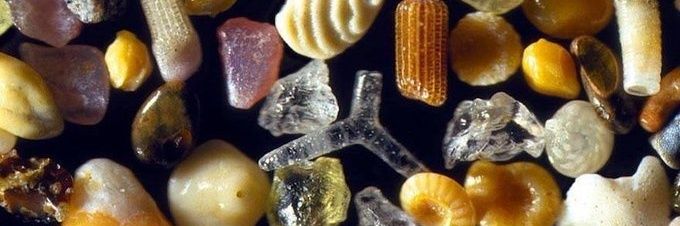 Birgit Kötters 🇩🇪🇪🇺🌎 banner