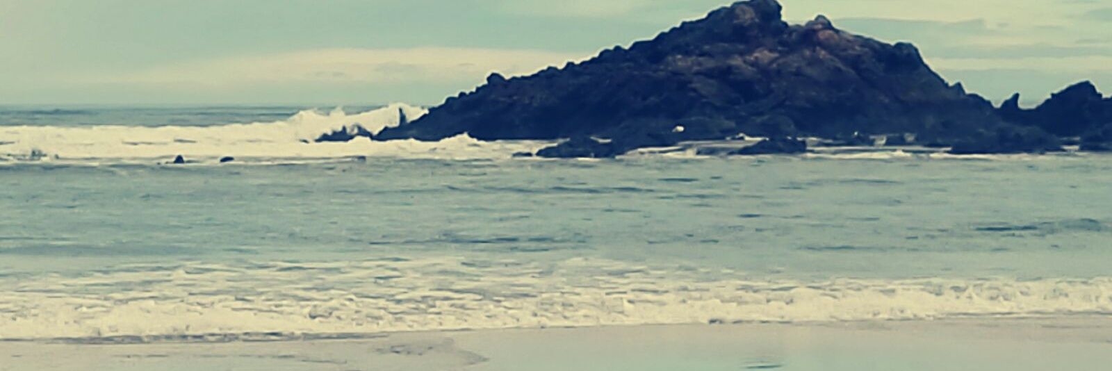 ccascajo's profile banner image