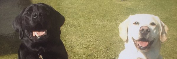 mrmichaelbarton Profile Banner