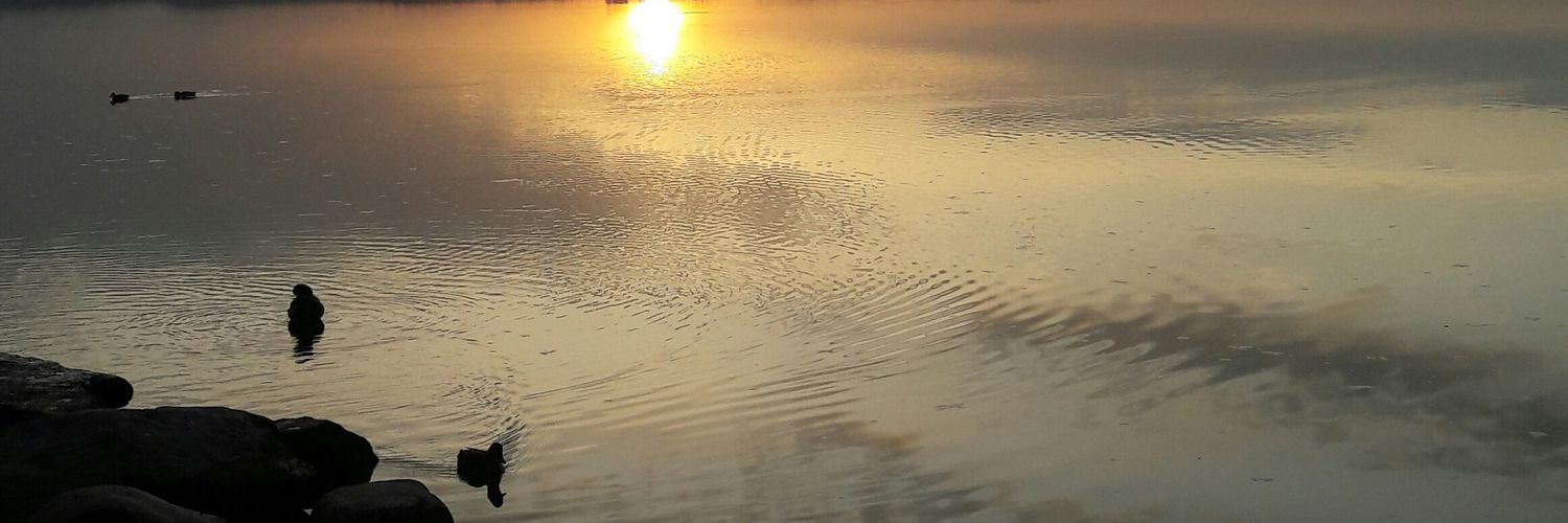 highonerock's profile banner image
