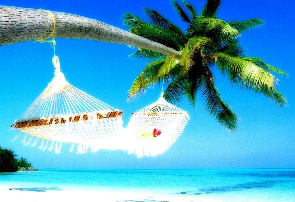 Nicole2_FaDed's profile banner image