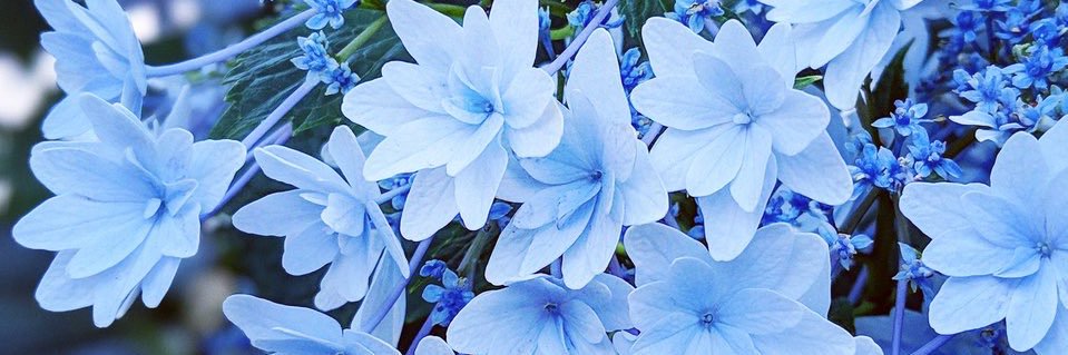 7meblue's profile banner image