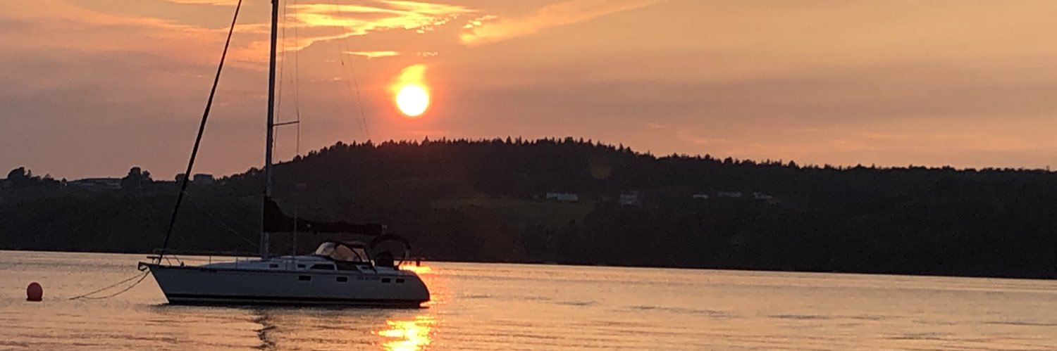 zeldam98's profile banner image
