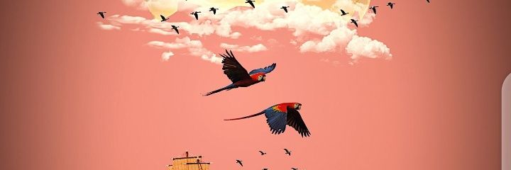 imole_'s profile banner image