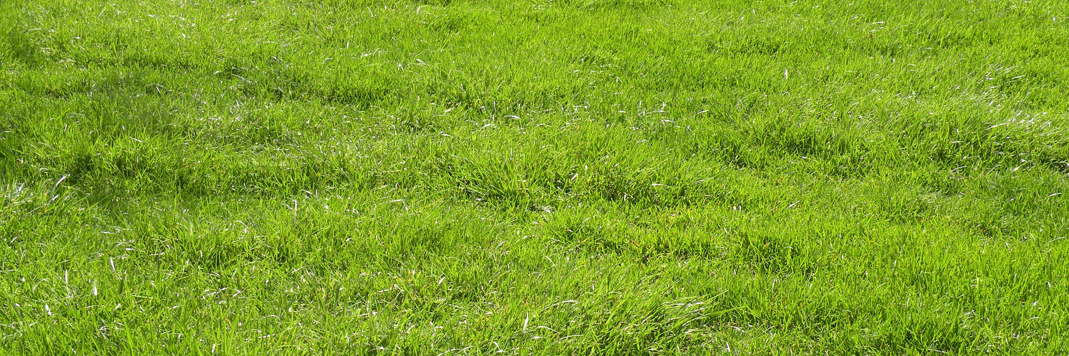 GrassPark_'s profile banner image