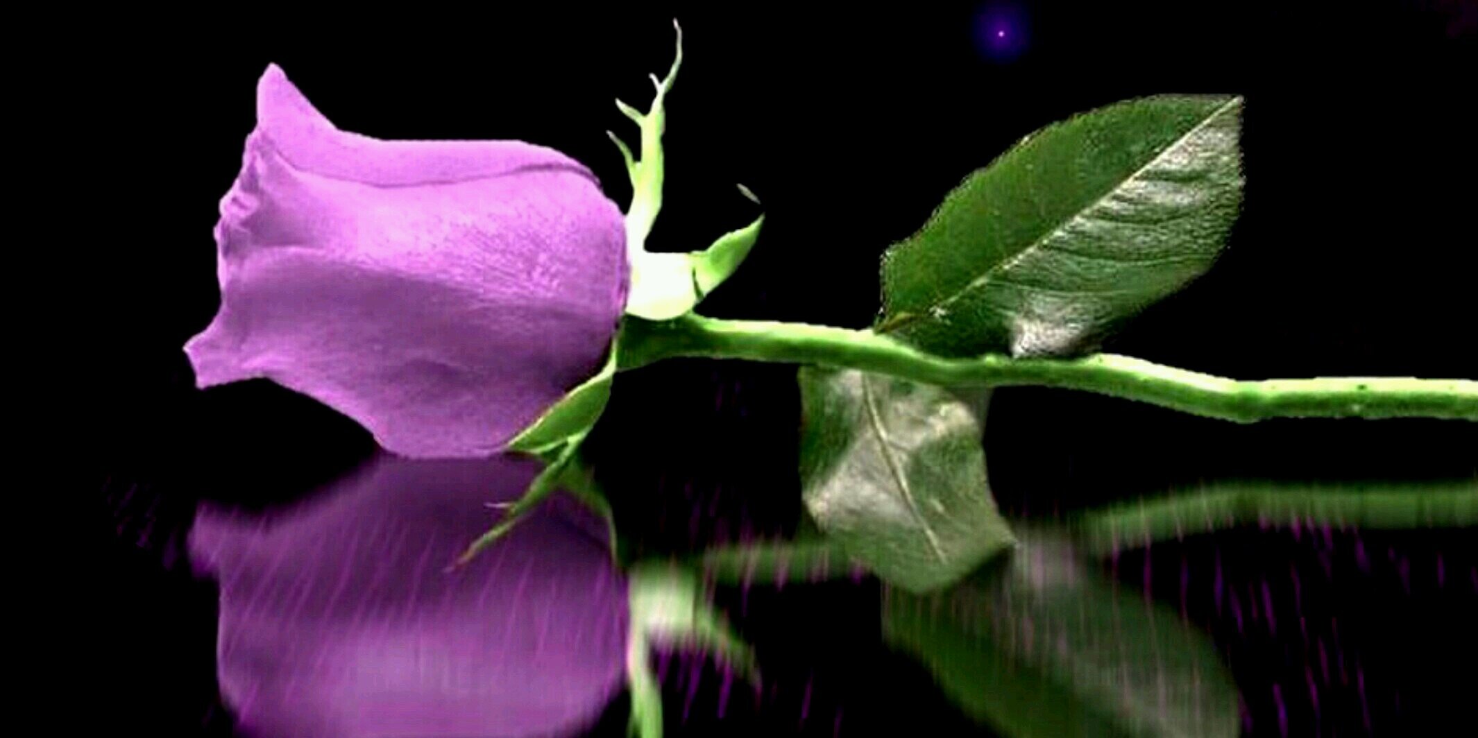 Neccy💜 banner
