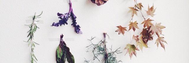 HLBAnderson's profile banner image
