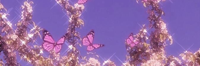 pptlxx's profile banner image