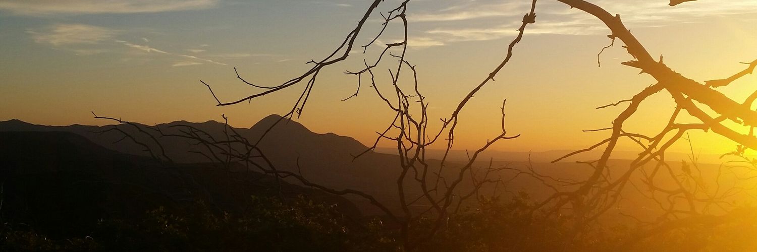 sandradee1495's profile banner image