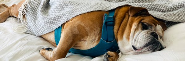 carriesbarnes Profile Banner