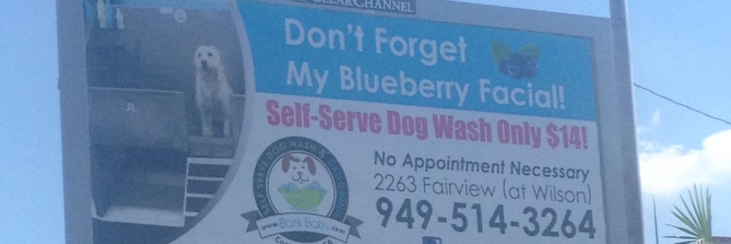 bark_bath's profile banner image