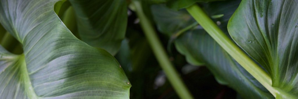 gabriellefulton's profile banner image