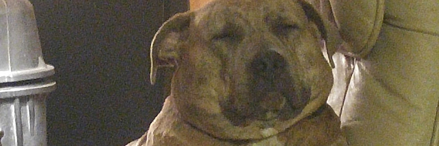 MasterArtist420's profile banner image