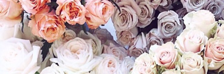 a_areynolds's profile banner image