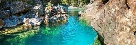 SeguroSeguimiento banner