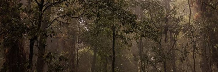 davidmarinos's profile banner image