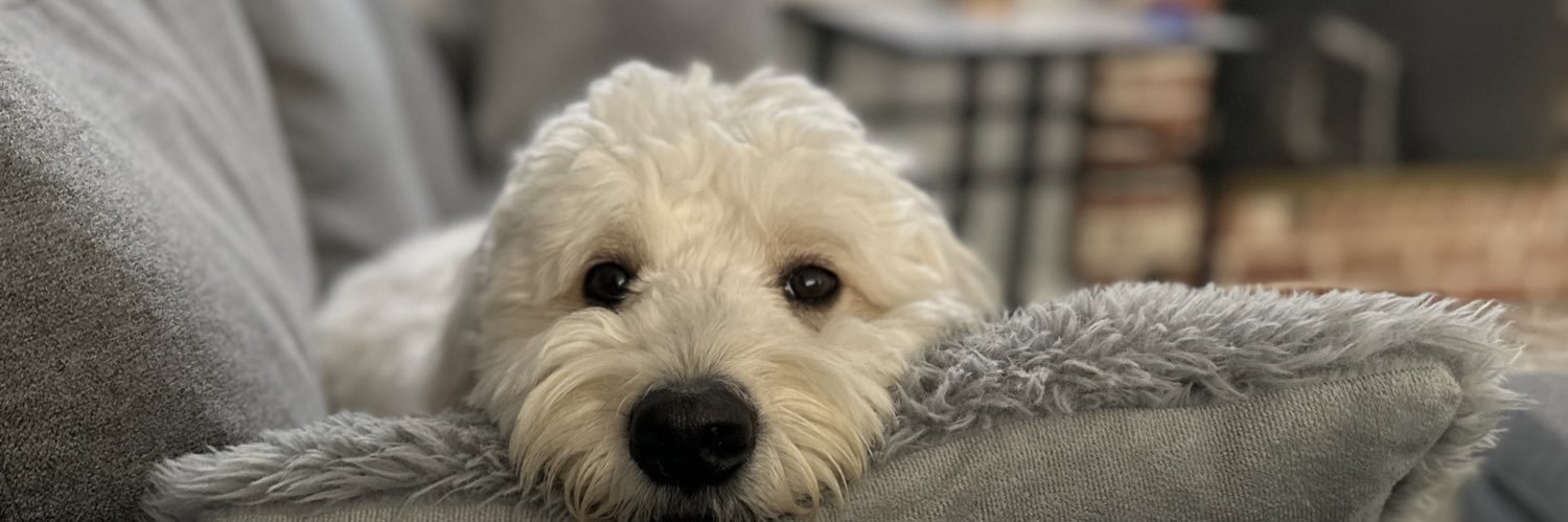Bfitch4's profile banner image