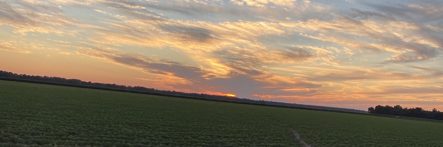 HaileeSam's profile banner image