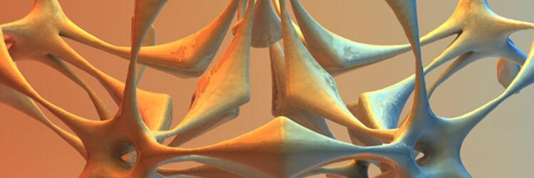Constancenewheights banner