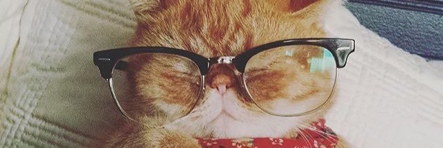 morgiee19's profile banner image