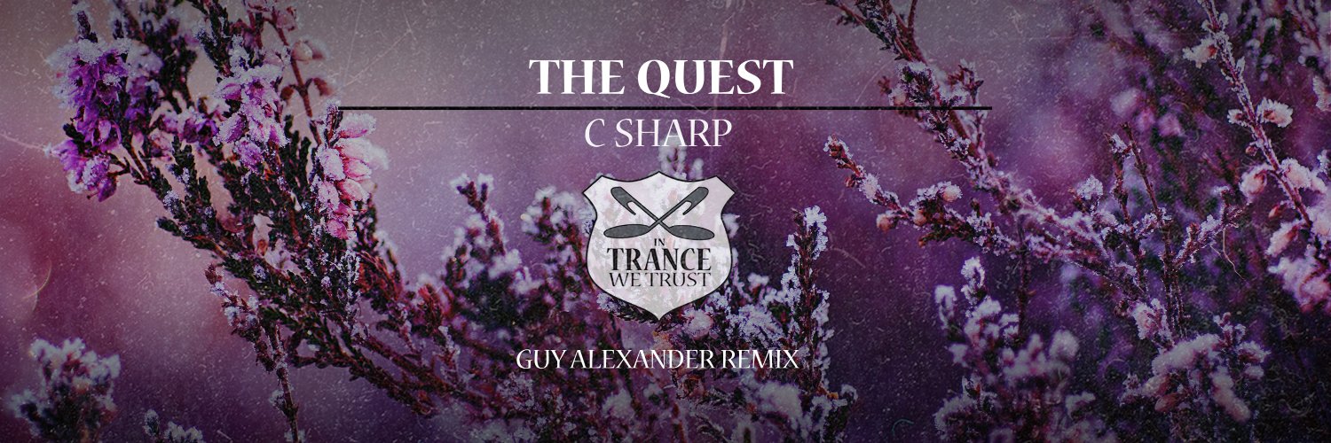 Guy Alexander banner