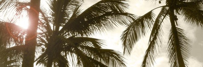 reibernett's profile banner image